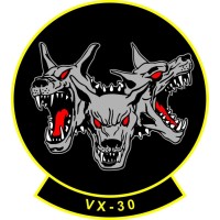 Air Test and Evaluation Squadron 30 (VX-30) Logo