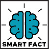 Smart Fact Training Logo