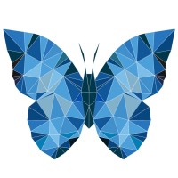 Butterfly Camp Logo