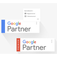 Google Partner Group Logo