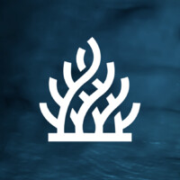 IntelliReefs Logo