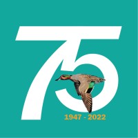 Teal Construction Company Logo