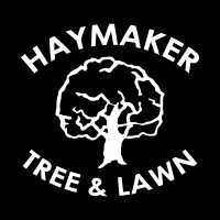 Haymaker Tree and Lawn Inc Logo