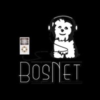 The BosNet Family LLC Logo