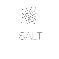 SALT AK LLC Logo