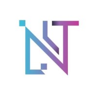 Northern Lights Systems Logo