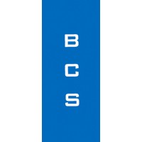 Business Communications Strategies Logo