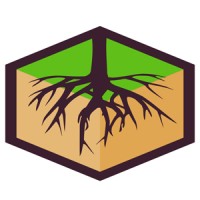 New Media Roots Logo