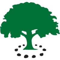 American Truffle Company Logo