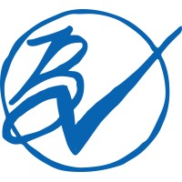 Brandon Newton Consulting Logo