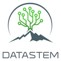 Datastem Logo