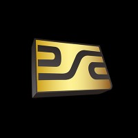 Seguridad y Control S.A. de C.V. Logo
