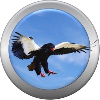 Bateleur Brand Planning Logo