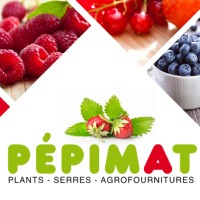 Pepimat SerrInnov Logo