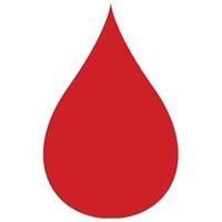 The Leukemia & Lymphoma Society - Wisconsin Chapter Logo