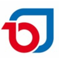 DIES Consultor Logo