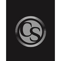 Capital Strategy Logo