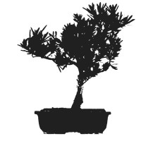 Crann Beag CO Ltd Logo