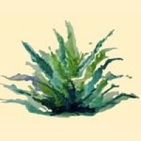 Agave Review Logo