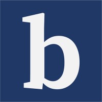 bluesalve partners Logo