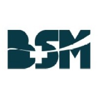 BSM Training and Consultancy Ltd Logo