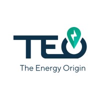 TEO - The Energy Origin Logo