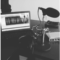 Al Shaw Voice Box Logo