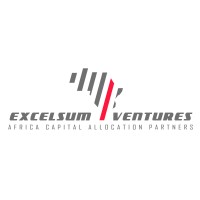 Excelsum Ventures Group Logo