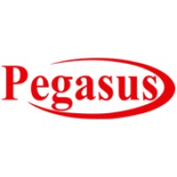 PEGASUS International Computer Co.- KUWAIT Logo