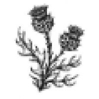 Highland GeoComputing, LLC Logo