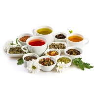 Botanicals Logo