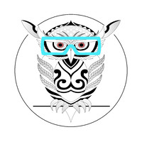 HBVR SASU Logo