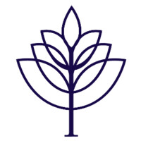 Wise Wealth, LLC Logo