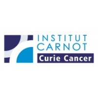Carnot Curie Cancer Logo