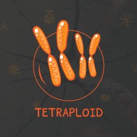 Tetraploid Team Logo