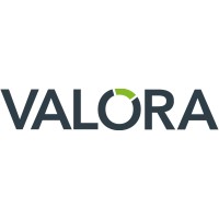 VALORA SRL Logo