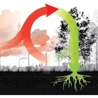 Climate Positive Design Logo