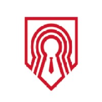 Cyber Audit Team Logo