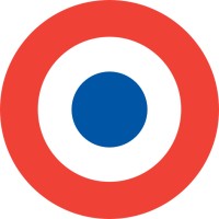 Design Systems France Logo