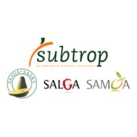 Subtrop Logo