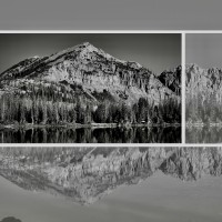 Insight Software Consulting, LLC Logo