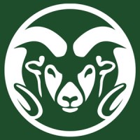 CSU College of Business | Management Dept Logo