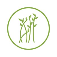 All Food Consulting Logo