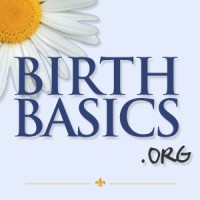 BirthBasics LLC Logo