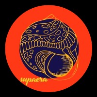 SUPAERA Logo