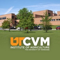 UTCVM- University of Tennessee College of Veterinary Medicine Logo