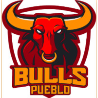 Pueblo Bulls Hockey Club Logo