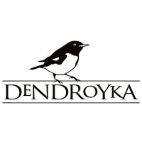 Dendroyka LLC Logo