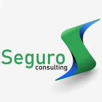 Seguro Consulting Logo