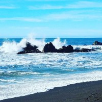 MaxLife Essentials Logo